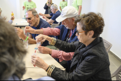 Day Trip to the Western Negev