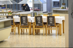 Day Trip to the Western Negev