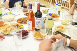 Day Trip to the Western Negev