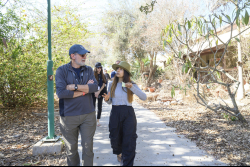 Day Trip to the Western Negev