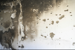 Day Trip to the Western Negev