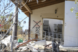 Day Trip to the Western Negev