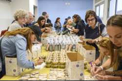 Day Trip to the Western Negev