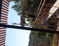 Zipline picture no. 10
