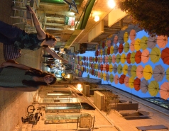 Dinner at Piccolino picture no. 5