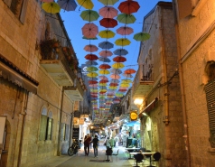 Dinner at Piccolino picture no. 6