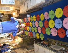 Dinner at Piccolino picture no. 9