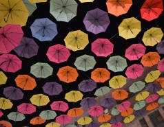 Dinner at Piccolino picture no. 96