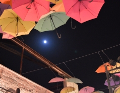 Dinner at Piccolino picture no. 97