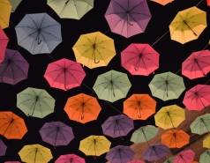 Dinner at Piccolino picture no. 101