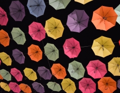 Dinner at Piccolino picture no. 102