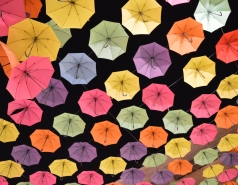 Dinner at Piccolino picture no. 104