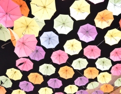 Dinner at Piccolino picture no. 105