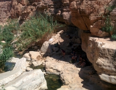 Wadi Kelt picture no. 55