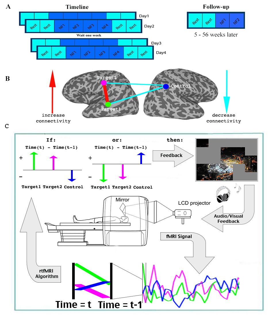 Linking networks and behavior