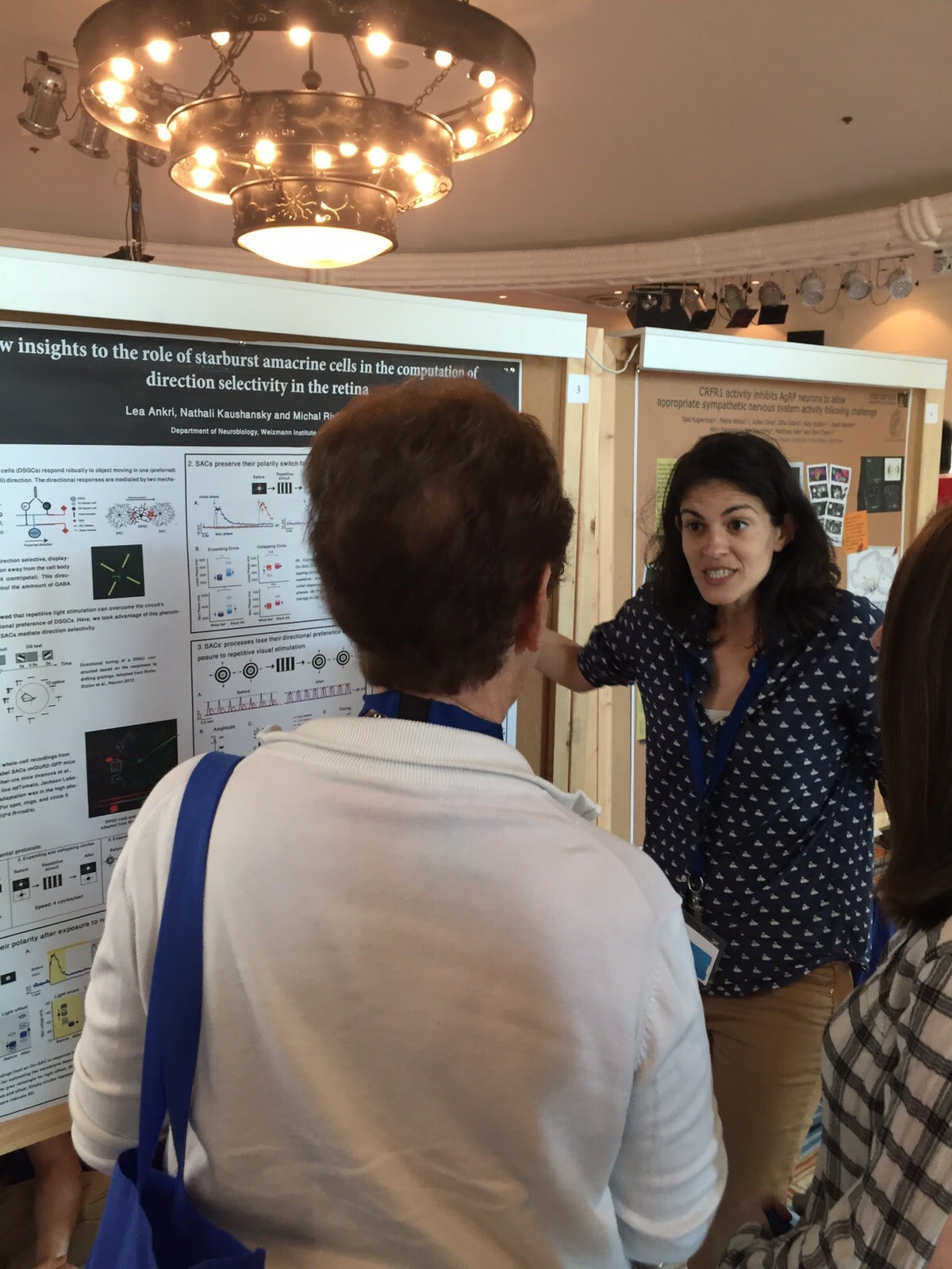 Fiercely presenting - iSFN 2015 (best poster presentation for this enthusiasm :)
