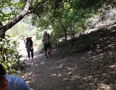 Lab Trip Beit Hillel picture no. 19