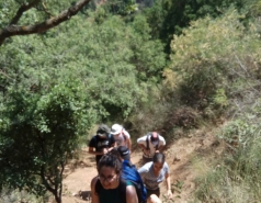 Lab Trip Beit Hillel picture no. 42