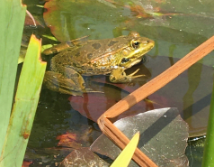 2012 April - LabTrip Sikhron Ya'akov picture no. 13