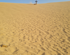 2021 - Retreat in Neot Smadar, and visiting the Great Dune (4 days) picture no. 41
