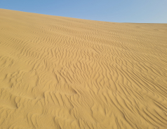 2021 - Retreat in Neot Smadar, and visiting the Great Dune (4 days) picture no. 45