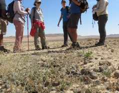 2015 - Lab Trip to Eastern Ramon Crater (2 days) picture no. 146