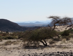 2015 - Lab Trip to Eastern Ramon Crater (2 days) picture no. 193