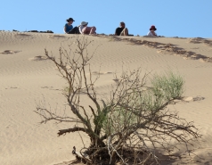 2015 - Lab Trip to Eastern Ramon Crater (2 days) picture no. 207