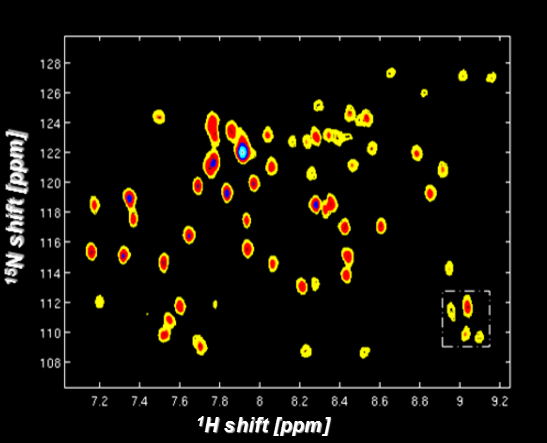 Protein Structure & Dynamics with nD Ultrafast NMR