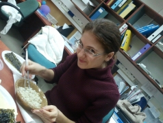 Special Korean dinner picture no. 2