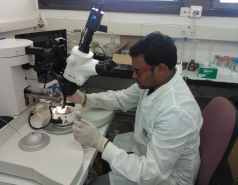 Everyday Lab picture no. 1