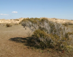 Visit to North Carolina March 2011 picture no. 31