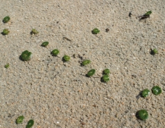 Visit to North Carolina March 2011 picture no. 32