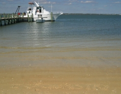 Visit to North Carolina March 2011 picture no. 36