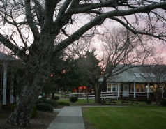 Visit to North Carolina March 2011 picture no. 40