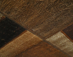 Group Trip to Gilboa picture no. 27