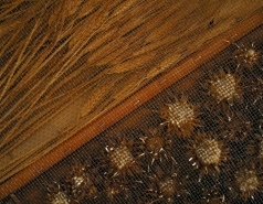 Group Trip to Gilboa picture no. 28