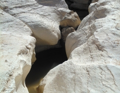 Group Trip 25.01.14 picture no. 3