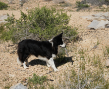 Department Retreat - Eilat - 2023 picture no. 1