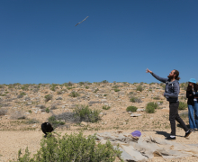 Department Retreat - Eilat - 2023 picture no. 4