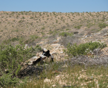 Department Retreat - Eilat - 2023 picture no. 5