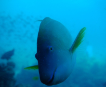 Department Retreat - Eilat - 2023 picture no. 24