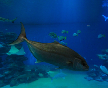 Department Retreat - Eilat - 2023 picture no. 29