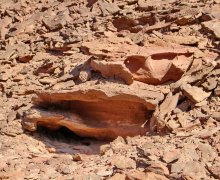 Department Retreat - Eilat - 2023 picture no. 34