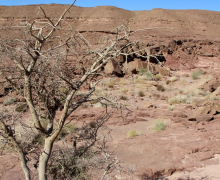 Department Retreat - Eilat - 2023 picture no. 35