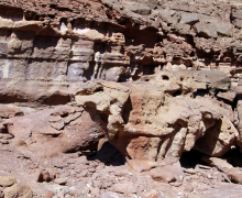 Department Retreat - Eilat - 2023 picture no. 44