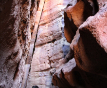 Department Retreat - Eilat - 2023 picture no. 52