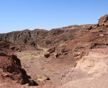 Department Retreat - Eilat - 2023 picture no. 66