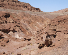 Department Retreat - Eilat - 2023 picture no. 67