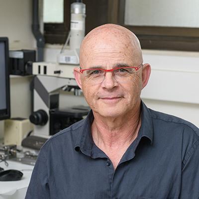 Prof. Daniel Hanoch Wagner